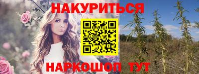 стафф Пенза