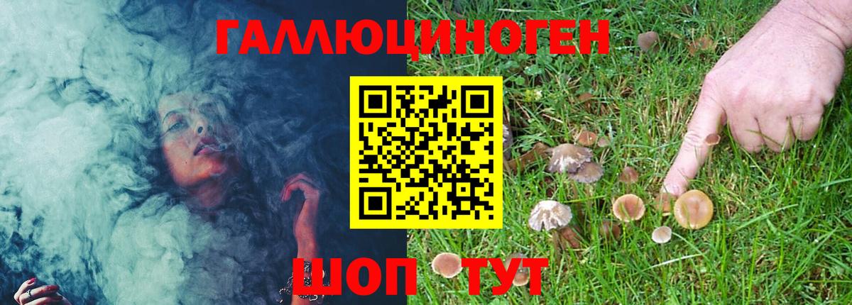 Галлюциногенные грибы мухоморы Советск