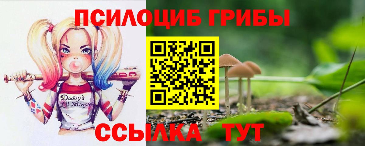 Советск  Галлюциногенные грибы Cubensis  Вход с VPN 